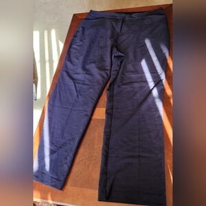 Women's Worthington Navy Pants 18WL